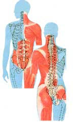 mellkasi osteochondrosis hátfájás a térdízületek konzervatív kezelése