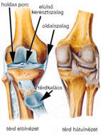 A láb műtéti kezelésének osteoarthritis