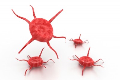 Rák szaklap, Felfedeztek egy immunsejtet, ami alkalmas lehet a rák gyógyítására