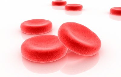 Zsíranyagcsere laborvizsgálat - Medicover Laborvizsgálatok