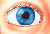 Kötőhártya-gyulladás csökkent látás, Kötőhártya-gyulladás tünetei és kezelése - HáziPatika