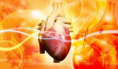 egészségügyi információk a szívről
