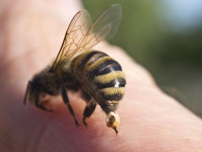 diabétesz kezelésében északi diabétesz kezelés pollen