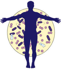 a prosztatitist okozó fertőzések gombás prostatitis kezelési diagram