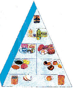 diéta egészség szív kórház piramis szent