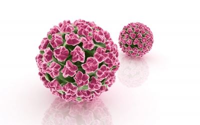 HPV: újonnan felismert kockázati tényező a fej-nyaki rákok kialakulásában | digitalis-otthon.hu