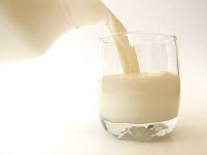 Tej és tejtermékek a táplálkozásba | Digital Textbook Library