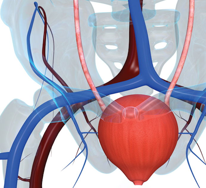 gentos a prostatitis vélemények gamma- gt prostatitis