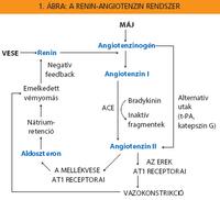 angiotenzin receptor blokkolók magas vérnyomás esetén