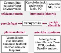 táplálkozás magas vérnyomásban szenvedő idősek számára magas vérnyomás esetén vizet kell inni
