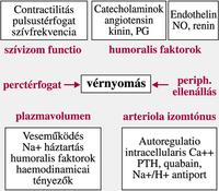 hipertónia alacsony reninszinttel